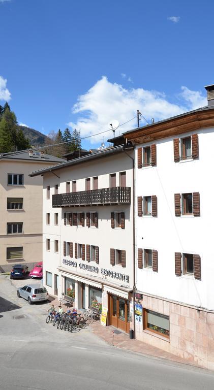 Albergo Cavallino Pieve di Cadore Dış mekan fotoğraf